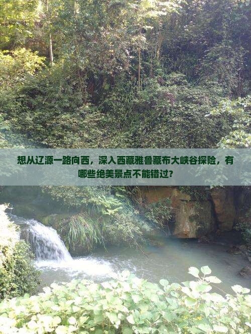辽源去西藏雅鲁藏布大峡谷哪里玩