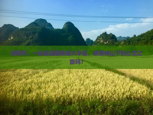 清明节到西藏珠峰大本营团体旅游