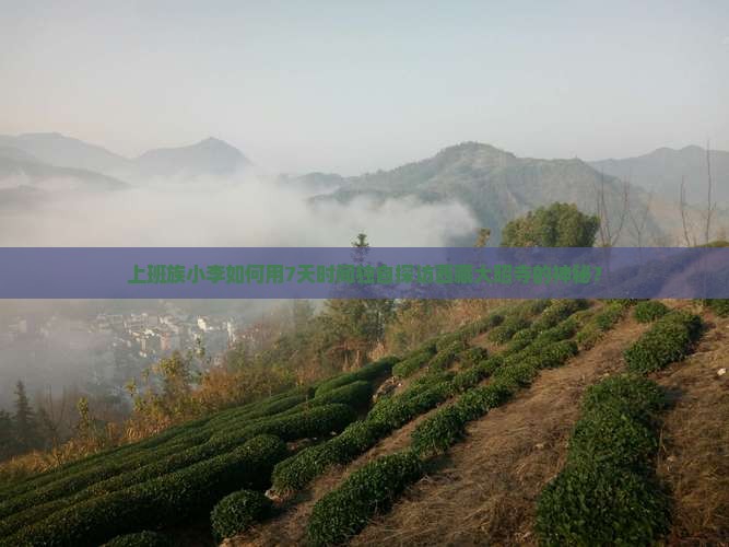 巴彦倬尔去西藏大昭寺个人游