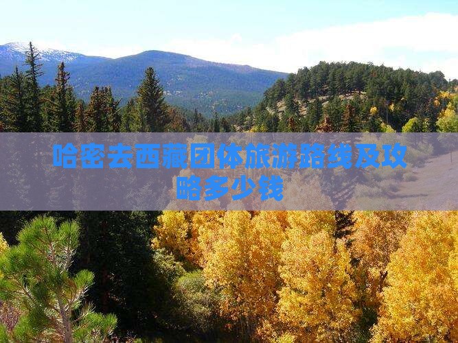 哈密去西藏团体旅游