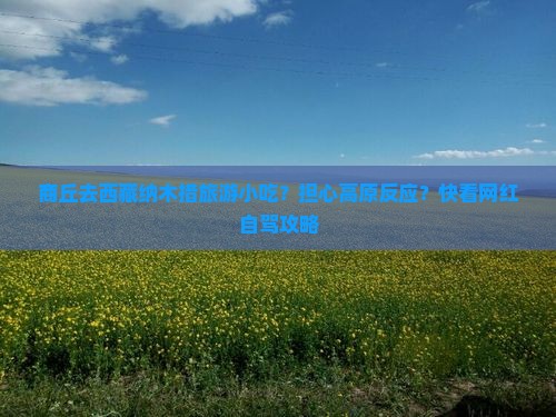 商丘去西藏纳木措旅游小吃