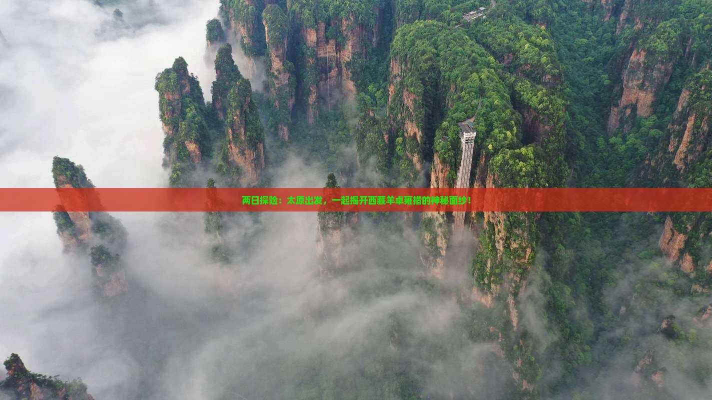 太原到西藏羊卓雍措二日游