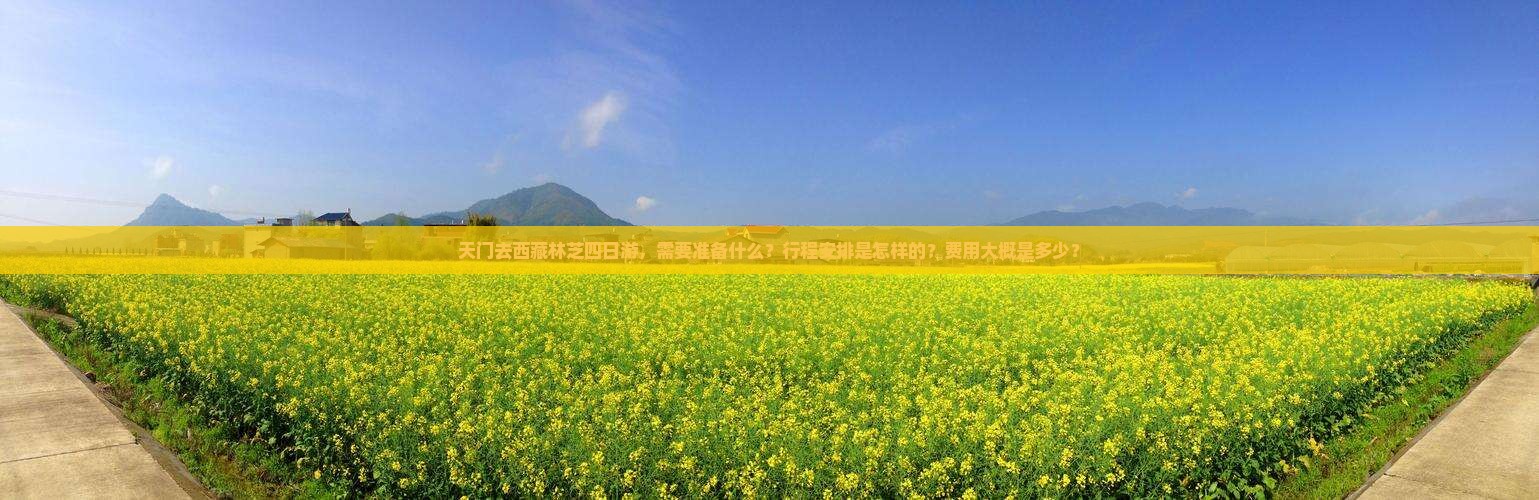 天门去西藏林芝四日游