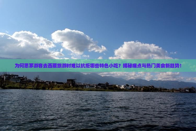 思茅去西藏旅游小吃