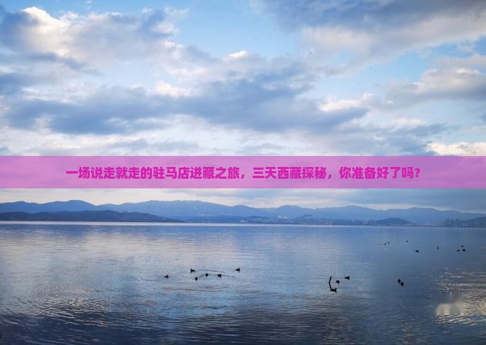 驻马店去西藏三日游