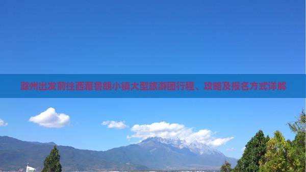 滁州到西藏鲁朗小镇大型旅游团