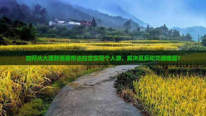 大理到西藏布达拉宫个人游