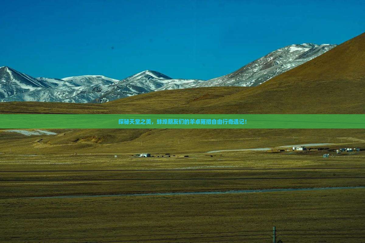 蚌埠去西藏羊卓雍措自由团 蚌埠去西藏羊卓雍措自由团