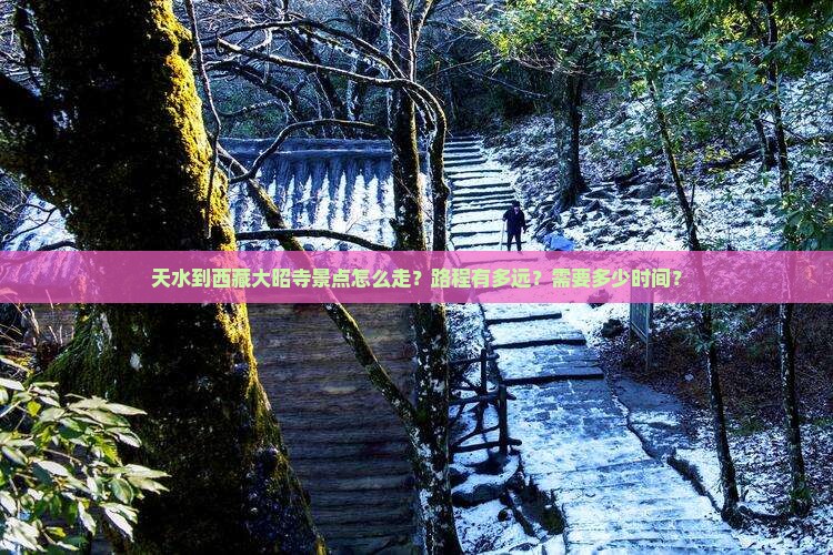 天水到西藏大昭寺景点