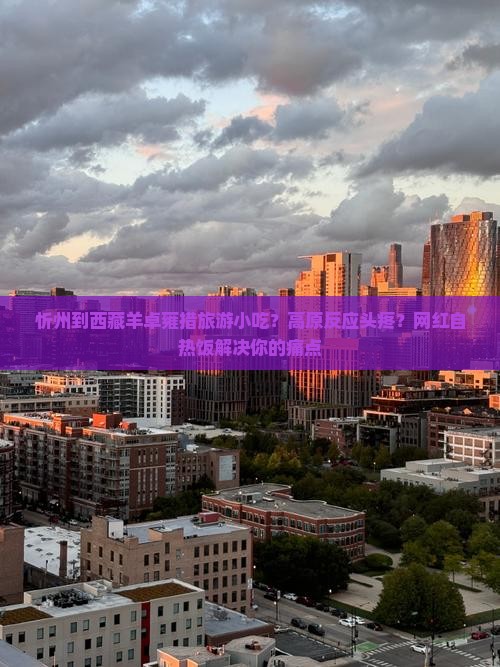 忻州到西藏羊卓雍措旅游小吃