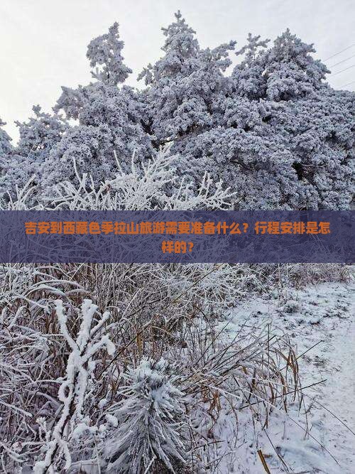 吉安到西藏色季拉山旅游