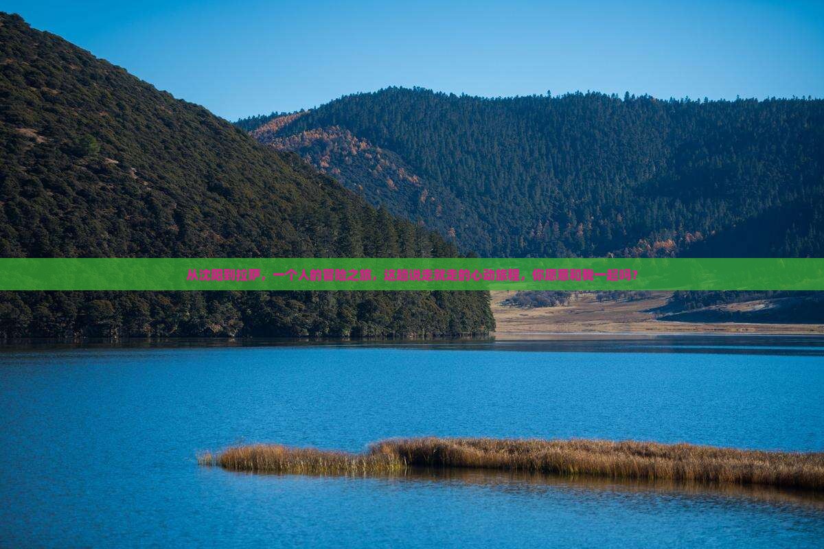 沈阳去西藏拉萨个人游