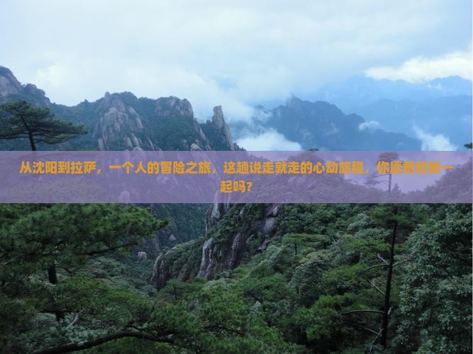 沈阳去西藏拉萨个人游