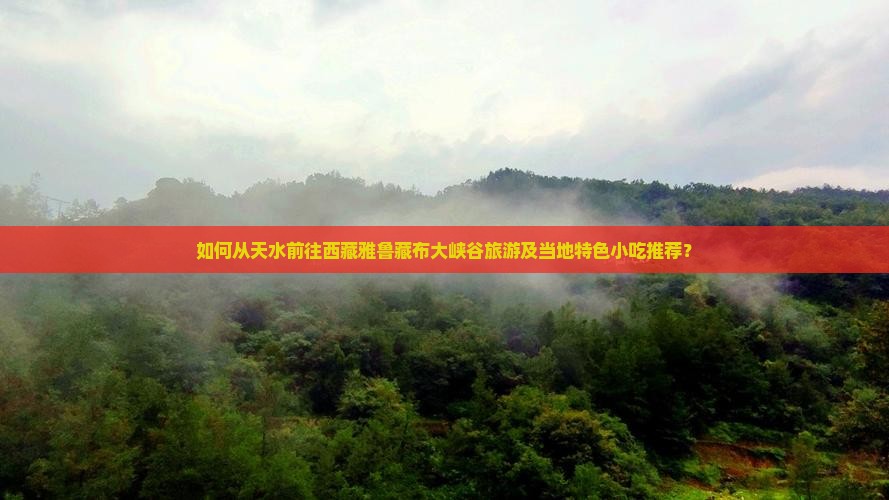 天水去西藏雅鲁藏布大峡谷旅游小吃