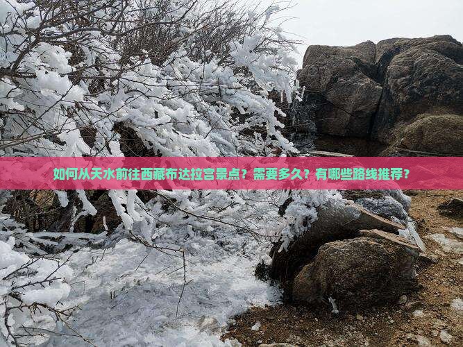 天水去西藏布达拉宫景点