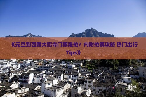 元旦到西藏大昭寺门票