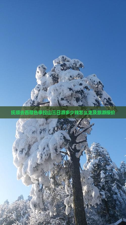 抚顺去西藏色季拉山三日游