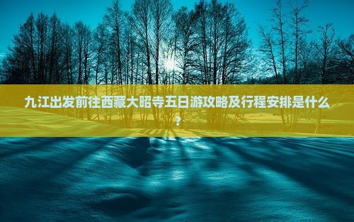 九江到西藏大昭寺五日游
