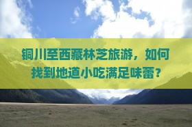 铜川到西藏林芝旅游小吃