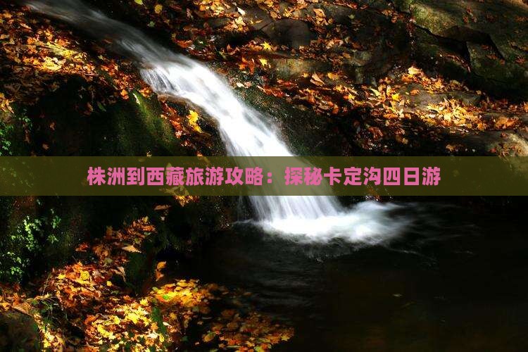 株洲去西藏卡定沟四日游