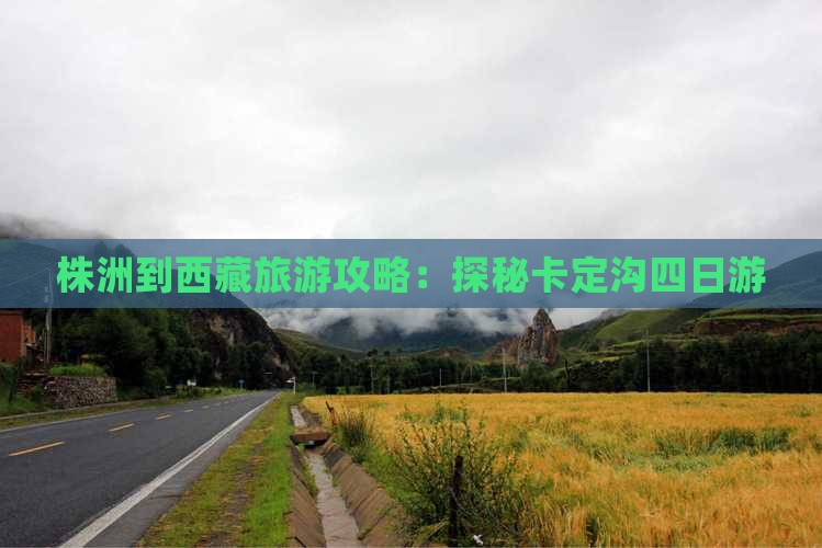 株洲去西藏卡定沟四日游