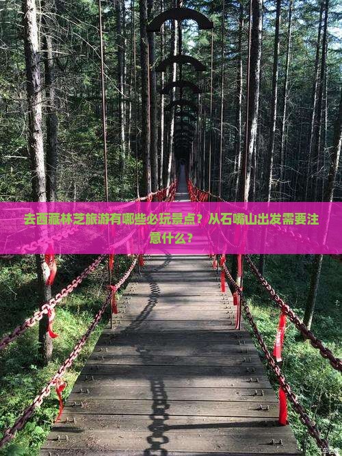 石嘴山去西藏林芝哪里玩