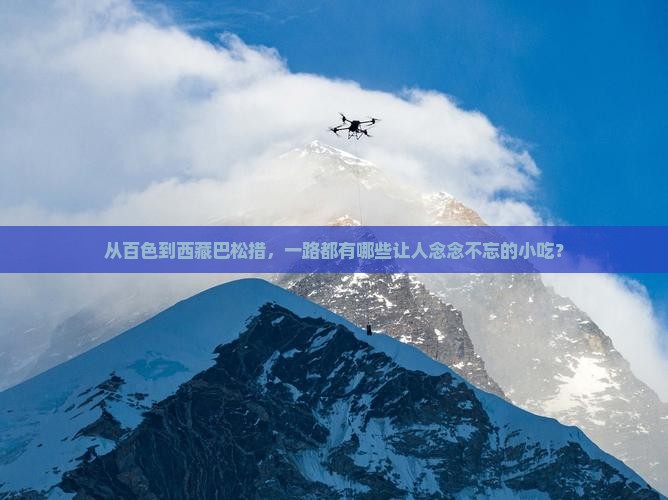 百色去西藏巴松措旅游小吃
