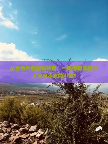 百色去西藏巴松措旅游小吃