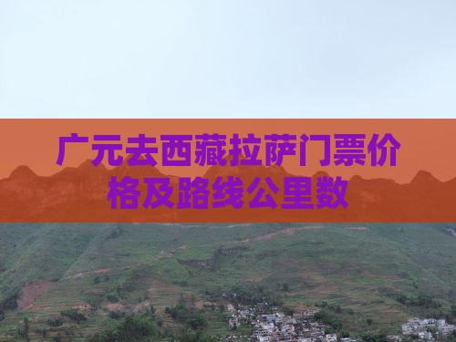广元去西藏拉萨门票