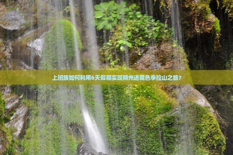朔州去西藏色季拉山六日游