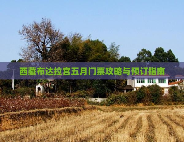 五月去西藏布达拉宫门票