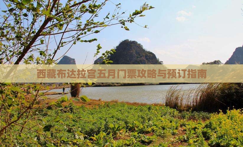 五月去西藏布达拉宫门票