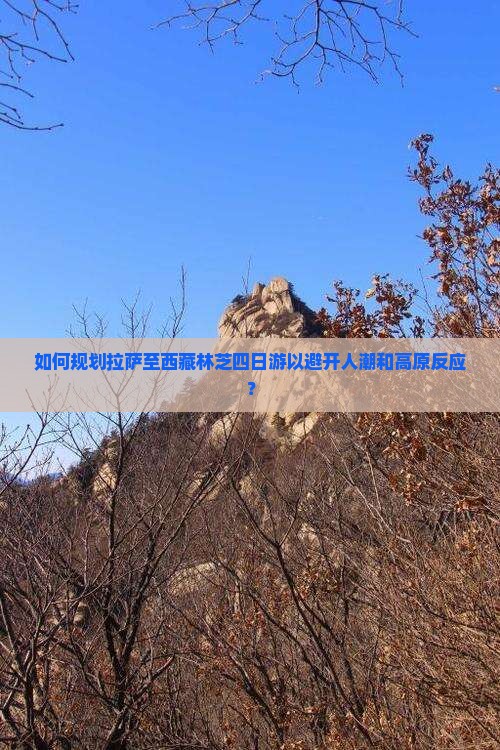 拉萨到西藏林芝四日游