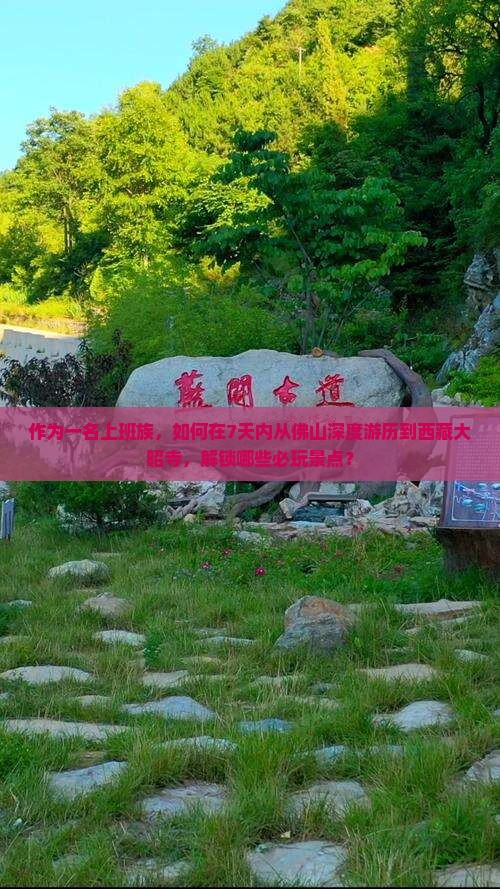 佛山到西藏大昭寺七日游