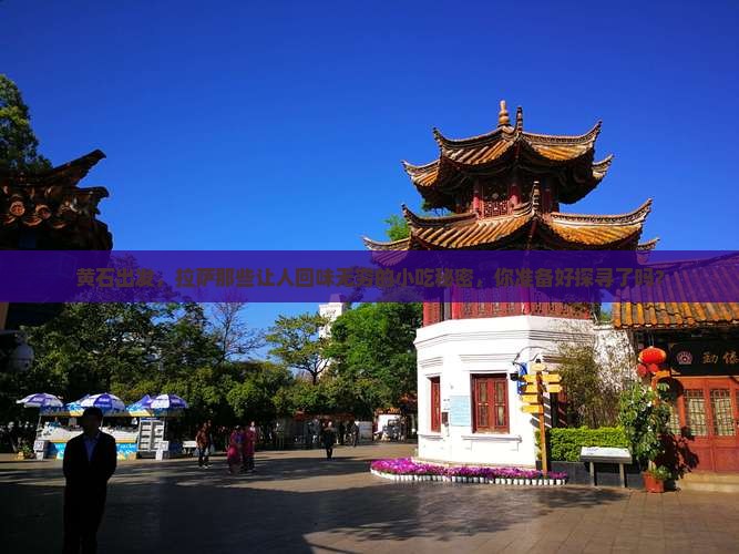 黄石去西藏拉萨旅游小吃
