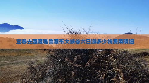 宜春去西藏雅鲁藏布大峡谷六日游