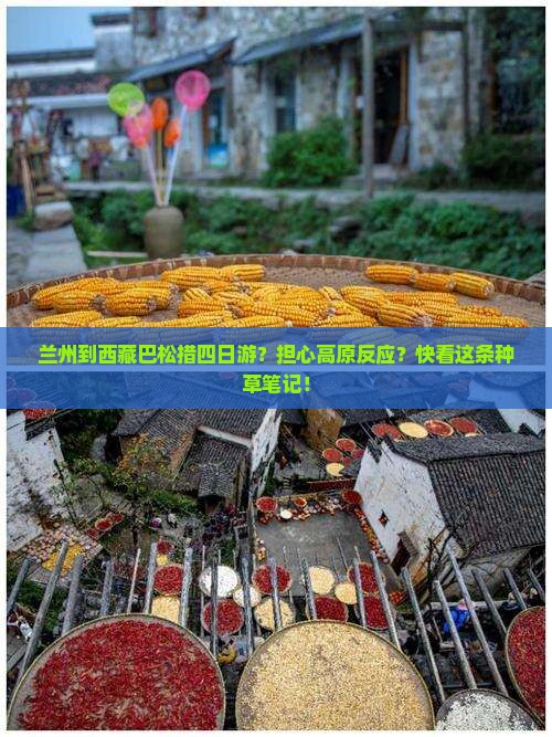 兰州到西藏巴松措四日游