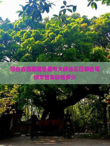邢台去西藏雅鲁藏布大峡谷五日游