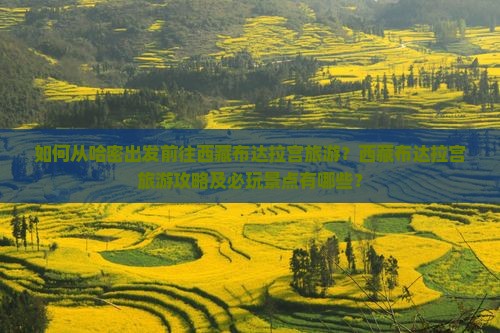 哈密去西藏布达拉宫哪里玩