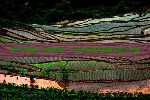咸宁去西藏色季拉山五日游