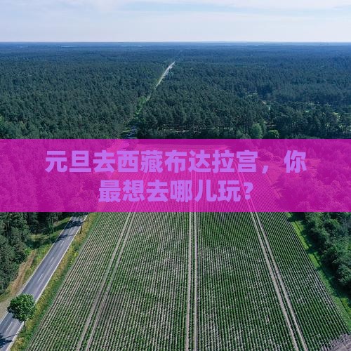 元旦到西藏布达拉宫哪里玩