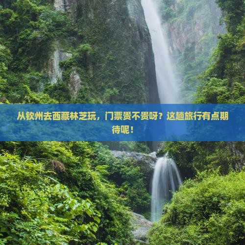 钦州到西藏林芝门票