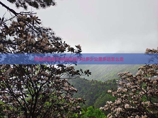 伊春到西藏羊卓雍措旅行社 伊春到西藏羊卓雍措旅行社