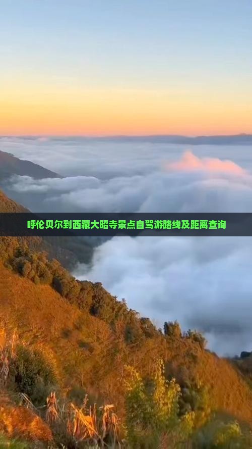 呼伦贝尔到西藏大昭寺景点