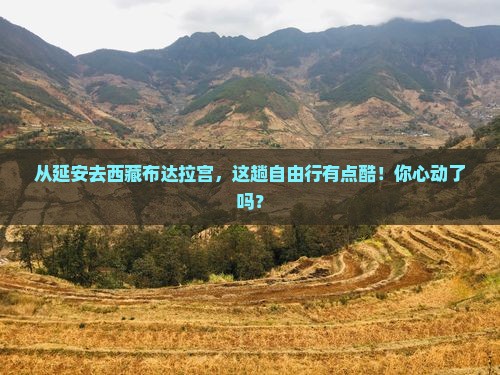 延安到西藏布达拉宫自由团
