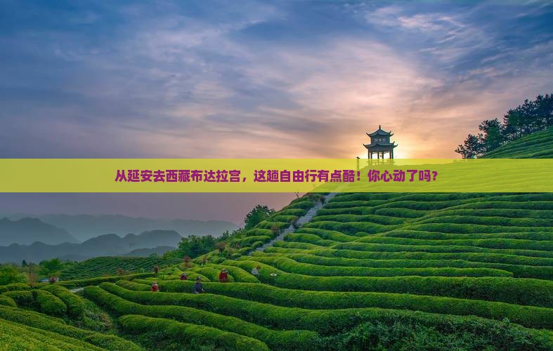 延安到西藏布达拉宫自由团