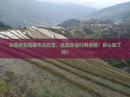 延安到西藏布达拉宫自由团