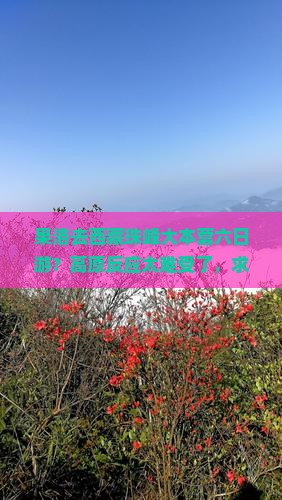 果洛去西藏珠峰大本营六日游