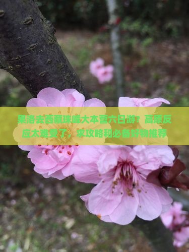 果洛去西藏珠峰大本营六日游