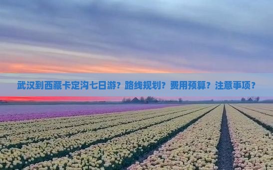 武汉到西藏卡定沟七日游